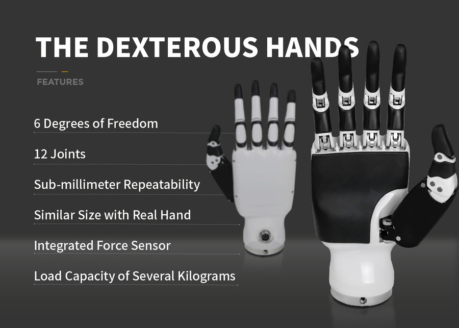 The Dexterous Hands RH56BFX